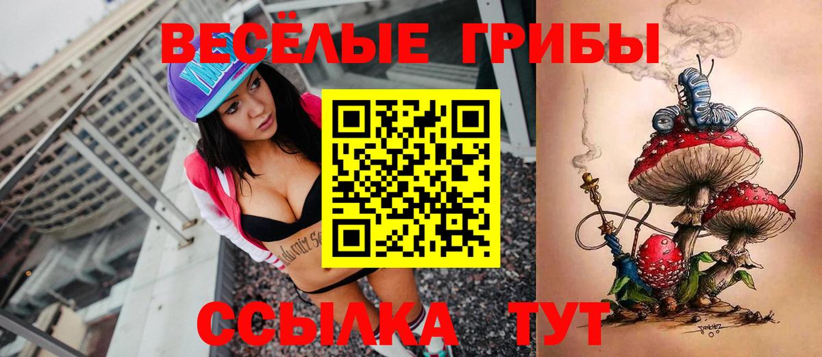 Псилоцибиновые грибы MAGIC MUSHROOMS  Вход с VPN  Белебей 