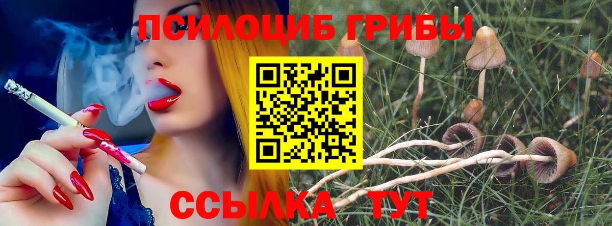 Псилоцибиновые грибы MAGIC MUSHROOMS Белебей